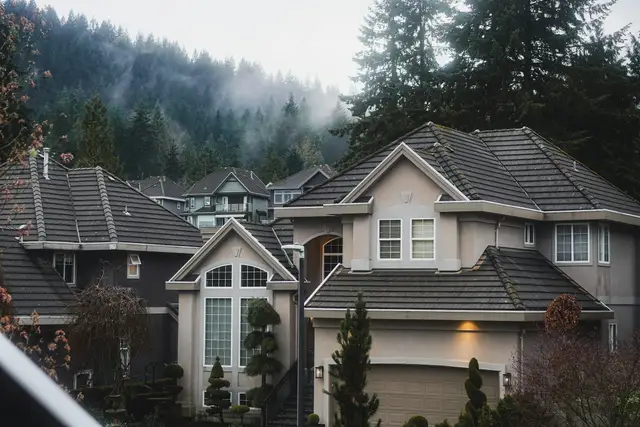 Houses among tall evergreen trees with fog on the hills behind